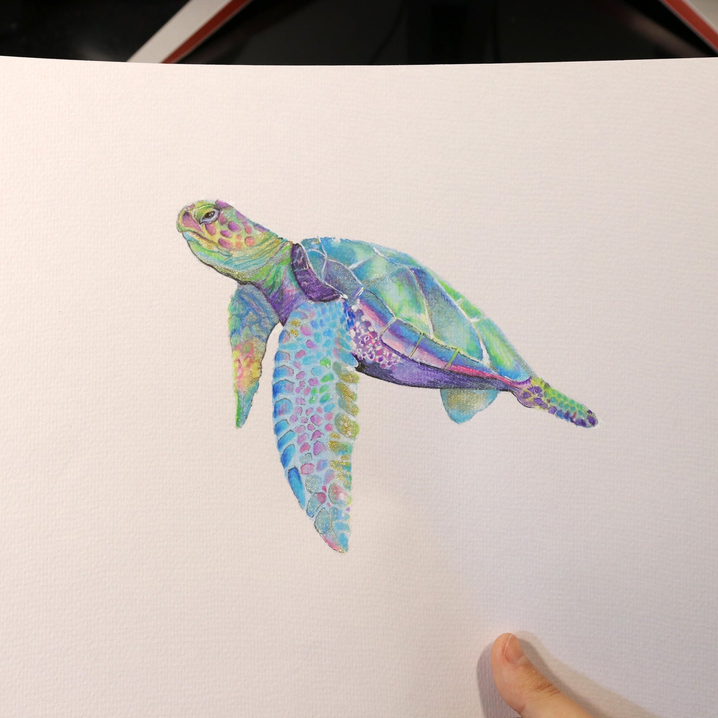 Dibujo original Tortuga Marina con destellos brillantes