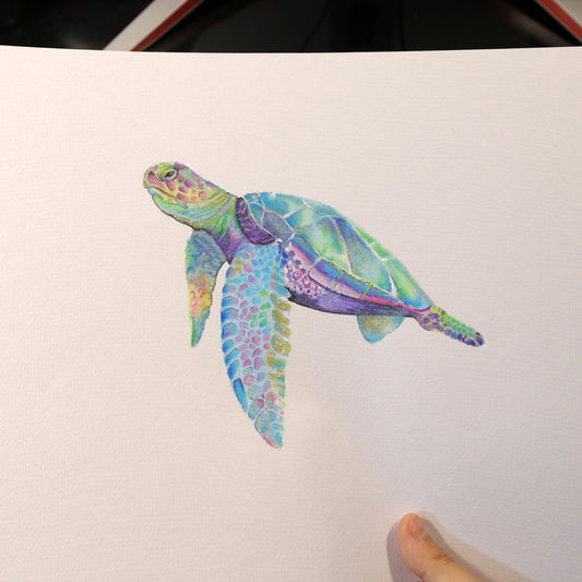 Dibujo original Tortuga Marina con destellos brillantes