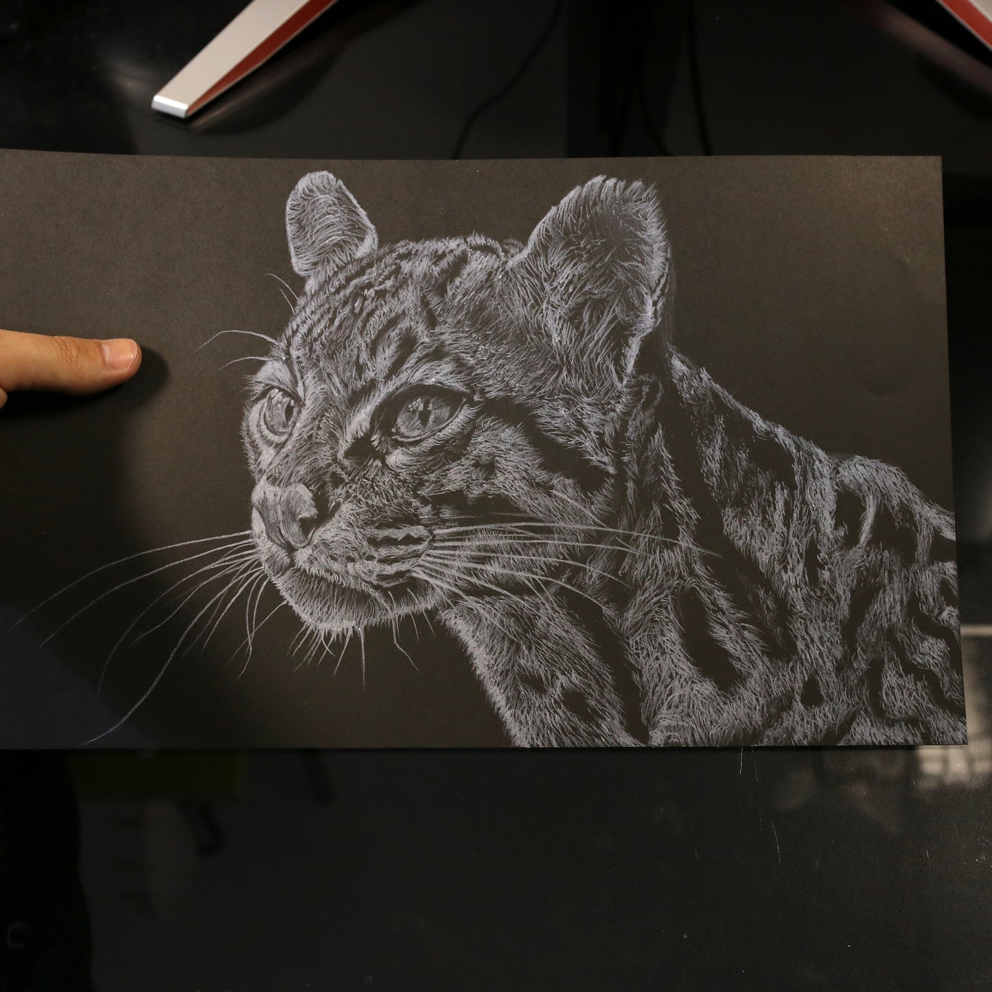 Dibujo original Ocelote
