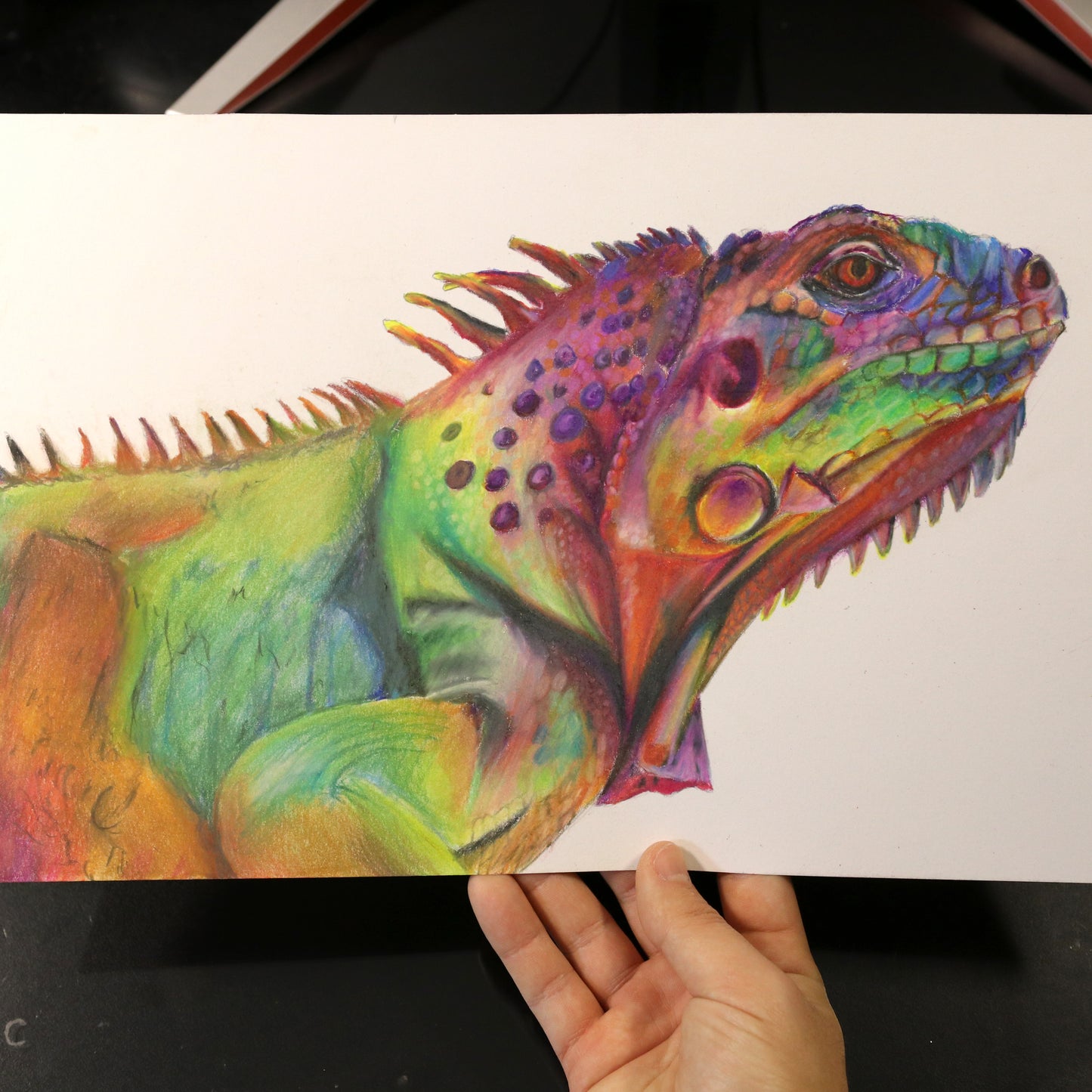 Dibujo original Camaleón