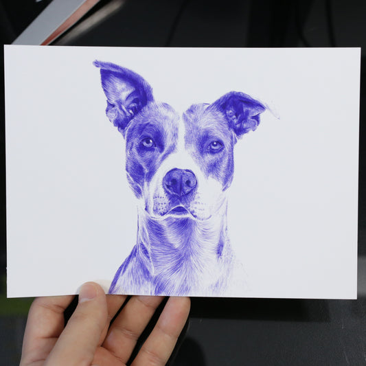 Print American Stanford a bolígrafo BIC