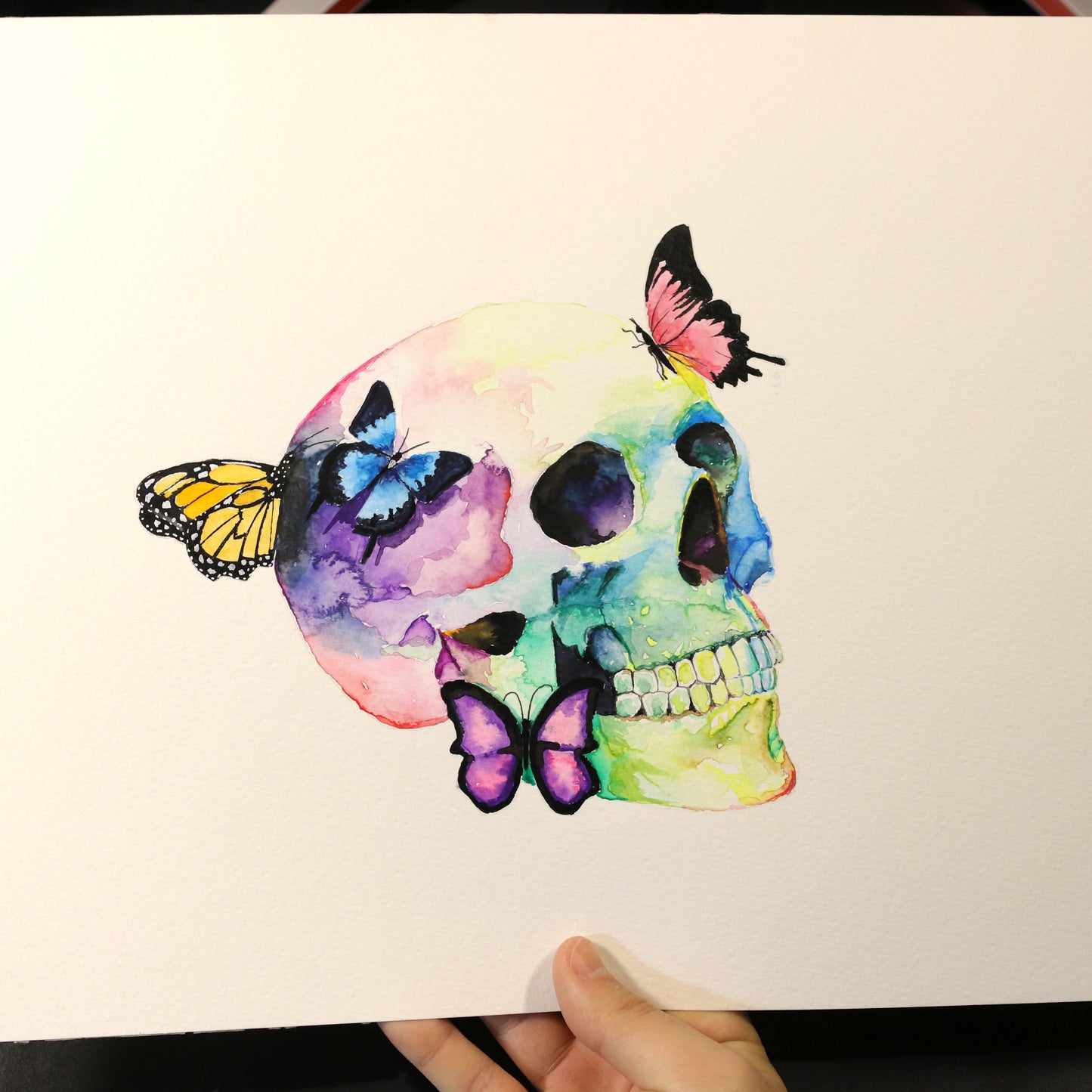 Dibujo original Calavera Mariposas